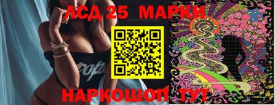 ПСИЛОЦИБИНОВЫЕ ГРИБЫ Новозыбков