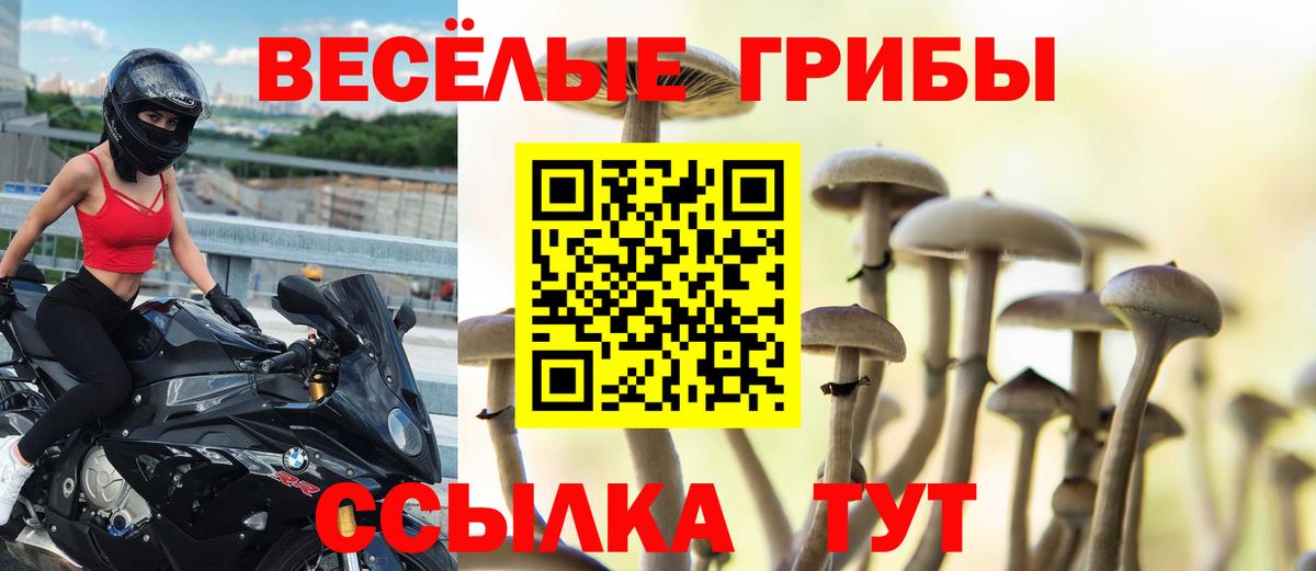 закладки  Галлюциногенные грибы мицелий  Вход с VPN  Севастополь  Галлюциногенные грибы MAGIC MUSHROOMS 